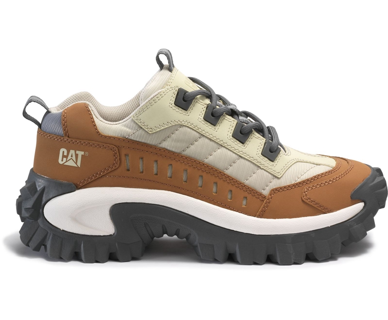 Caterpillar Intruder Fritidssko Dame Brune Beige | EHSAZ-0395